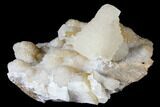 Calcite Crystals After Calcite on Druzy Quartz - Missouri #122123-3